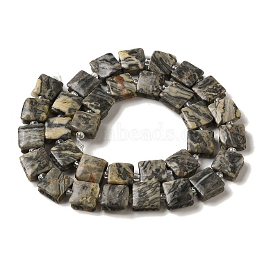 Natural Map Stone Beads Strands(G-L596-A03-01)-3