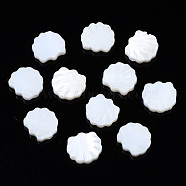 Natural Freshwater Shell Beads, Shell, Seashell Color, 10.5x11.5x3mm, Hole: 0.9mm(SHEL-S278-034)