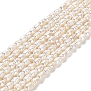Natural Cultured Freshwater Pearl Beads Strands, Rice, Grade A+, PapayaWhip, 4.5~11x3~4mm, Hole: 0.5mm, about 62~64pcs/strand, 13.78 inch(35cm)(PEAR-E016-151)