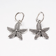 Tibetan Style Alloy Pendants, Starfish/Sea Stars, Antique Silver, 22.5x19x3mm, Hole: 7.5mm(PALLOY-F199-19AS)
