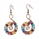 Gemstone Dangle Earrings(EJEW-JE04906-01)-1