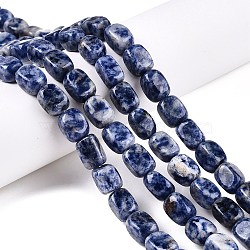 Natural Blue Spot Jasper Beads Strands, Cuboid, 7.5~13x6.5~12.5x6~11.5mm, Hole: 1.2mm, about 33pcs/strand, 13.98~15.6''(35.5~39cm)(G-T138-101)