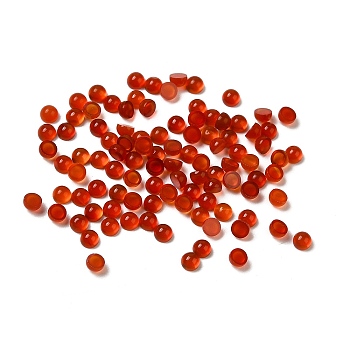 Natural Carnelian Dome/Half Round Cabochons, 2x1mm