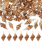 60Pcs Copper Wire Wrapped Natural Spiral Shell Pendants, Light Gold, 28~34x11~18x14~16mm, Hole: 3mm, 60pcs/set(PALLOY-FH00101)
