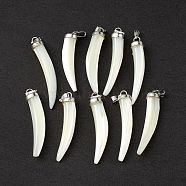 Natural Trochid Shell/Trochus Shell Pendants, Pepper Charms, with Platinum Tone Iron Snap on Bails, Seashell Color, 40.5x7.5x8mm, Hole: 6x2.5mm(SSHEL-M021-11)