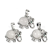 Natural Quartz Crystal Pendants, Rack Plating Brass Rhinestone Elephant Charms, Platinum, Cadmium Free & Lead Free, 17.5x20.5x8mm, Hole: 5x8mm(G-I374-A-P17)