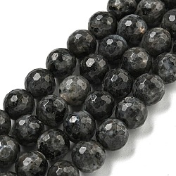 Natural Larvikite Beads Strands, (128 Facets)Faceted, Round, 10mm, Hole: 1.2mm, about 37pcs/strand, 14.96 inch(38cm)(G-E571-A09-03)