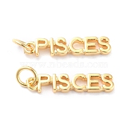 Brass Pendants, with Jump Rings, Long-Lasting Plated, Constellation/Zodiac Sign, Golden, Pisces, Pisces: 4x19x1.5mm, Hole: 3mm(KK-J276-14H)