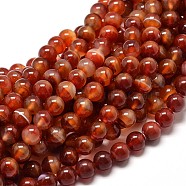 Natural Carnelian Round Bead Strands, Dyed, 8mm, Hole: 1mm, about 49pcs/strand, 16 inch(G-P072-14-8mm)