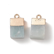 Natural Amazonite Pendants, with Golden Brass Findings, Rack Plating, Cube, 18~21x9~12x9~13mm, Hole: 1.6mm(G-Q998-035E)