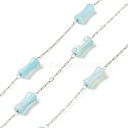 304 Stainless Steel Cable Chains and Dyed Shell Beads, Tambourin, Soldered, with Spool, Light Sky Blue, 2.5x0.8x0.1mm(STAS-B067-02P-01)