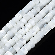 Natural Trochid Shell/Trochus Shell Beads Strands, Bleach, Column, Seashell Color, 3x2mm, Hole: 0.8mm, about 190~193pcs/strand, 15.75 inch(40cm)(SSHEL-S266-016A-01)