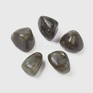 Natural Labradorite Beads, Healing Stones, for Energy Balancing Meditation Therapy, Tumbled Stone, Vase Filler Gems, No Hole/Undrilled, Nuggets, 20~35x13~23x8~22mm(G-K302-A09)