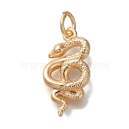 Brass Pendants, Snake, with Jump Ring Charms, Real 18K Gold Plated, 18x9x3.5mm, Hole: 3mm(KK-U038-18G)