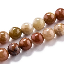 Natural Petrified Wood Beads Strands, Round, 8.5mm, Hole: 1.2mm, about 44pcs/strand, 14.88''(37.8cm)(G-O199-06B)