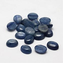 Oval Natural Kyanite/Cyanite/Disthene Cabochons, 10x8x3~4mm(G-O147-01C)