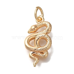 Brass Pendants, Snake, with Jump Ring Charms, Real 18K Gold Plated, 18x9x3.5mm, Hole: 3mm(KK-U038-18G)