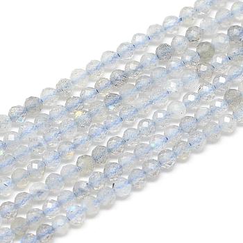 Natural Labradorite Beads Strands, Faceted, Round, 2x2mm, Hole: 0.5mm, about 188pcs/strand, 15.9 inch