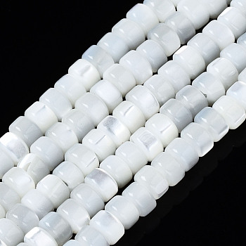Natural Trochid Shell/Trochus Shell Beads Strands, Bleach, Column, Seashell Color, 3x2mm, Hole: 0.8mm, about 190~193pcs/strand, 15.75 inch(40cm)
