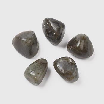 Natural Labradorite Beads, Healing Stones, for Energy Balancing Meditation Therapy, Tumbled Stone, Vase Filler Gems, No Hole/Undrilled, Nuggets, 20~35x13~23x8~22mm