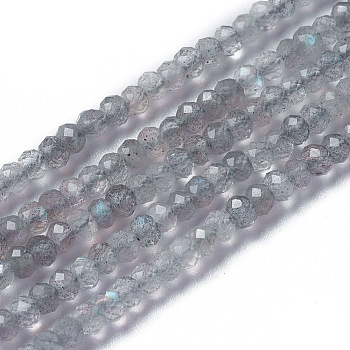 Natural Labradorite Beads Strands, Faceted, Rondelle, 3~3.5x2~2.5mm, Hole: 0.2mm, about 120~189pcs/strand, 16.2~16.4 inch(41.3~41.7cm)