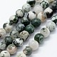 Natural Tree Agate Beads Strands(X-G-I199-03-10mm)-1