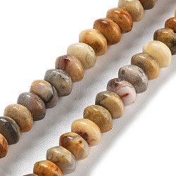 Natural Crazy Agate Beads Strands, Saucer Beads, 8x5mm, Hole: 0.6mm, about 40pcs/strand, 7.76''(19.7cm)(G-P559-A05-01)