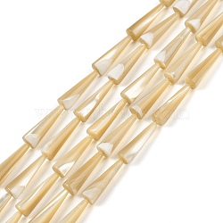 Natural Trochus Shell Beads Strands, Cone, Goldenrod, 24.5~25x7~7.5mm, Hole: 0.8mm, about 16pcs/strand, 15.94 inch(40.5cm)(BSHE-G036-04)