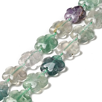 Natural Fluorite Beads Strands, 5-Petal Flower, 15x15x6mm, Hole: 1.2mm, about 27pcs/strand, 17.32 inch(44cm)