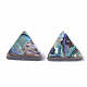 Abalone Shell/Paua Shell Beads(X-SSHEL-T008-16)-2