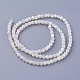 Shell Beads Strands(SSHEL-E571-38-3mm)-2
