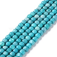 Natural Howlite Beads Strands, Dyed, Faceted Cube, 5x5x5mm, Hole: 0.8mm, about 78pcs/strand, 15.20~15.35 inch(38.6~39cm)(G-G001-B01-01)