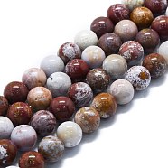 Natural Ocean Jasper Beads Strands, Round, 10mm, Hole: 1.2mm, about 39pcs/strand, 15.75''(40cm)(G-P457-C05-06)