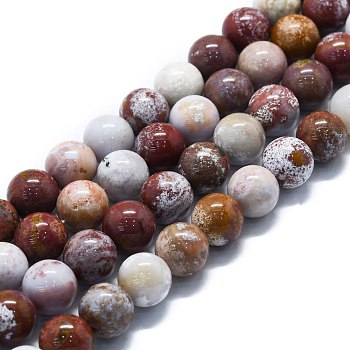 Natural Ocean Jasper Beads Strands, Round, 10mm, Hole: 1.2mm, about 39pcs/strand, 15.75''(40cm)