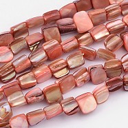 Natural Shell Beads Strands, Hot Pink, Dyed, about 8~17.5mm long, 5~8mm wide, 5mm thick, hole: 1mm, 40pcs/strand, 16 inch(PBB049Y)