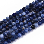 Natural Sodalite Beads Strands, Faceted, Round, 3mm, Hole: 0.6mm, about 134~135pcs/strand, 15.35 inch(39cm)(G-S362-070)