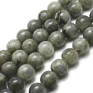 Natural Labradorite Bead Strands, Round, 8mm, Hole: 1mm, about 48pcs/strand, 15 inch(G-P256-01-8mm)