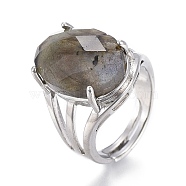 Adjustable Faceted Natural Labradorite Finger Rings, with Platinum Brass Findings, Oval, Size 8, Inner Diameter: 18mm(RJEW-I068-B04-1)