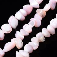 Natural Trochid Shell/Trochus Shell Bead Strands, Nuggets Chips, Dyed, Pink, 3.5~13x6~12x3~8mm, Hole: 0.9mm, about 68~73pcs/strand, 15.35 inch~15.94 inch(39~40.5cm)(SSHEL-N034-78-C02)