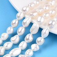 Natural Cultured Freshwater Pearl Beads Strands, Baroque Pearls Keshi Pearl Beads, Two Sides Polished, Seashell Color, 8.5~15x7~9.5x7~9mm, Hole: 0.6mm, about 33~37pcs/strand, 14.17~14.57 inch(36~37cm)(PEAR-N014-08F)