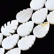 Natural Freshwater Shell Beads Strands, Leaf, 15x10x2~3mm, Hole: 1mm, about 26pcs/strand, 14.96~15.12 inch(38~38.4cm)(SHEL-Q024-004)
