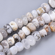 Natural White Agate Beads Strands, Tumbled Stone, Nuggets, 8~10x12~12x10~12mm, Hole: 1.2mm, about 42~46pcs/strand, 15.35~16.14 inch(39~41cm)(X-G-S364-032)