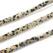Natural Dalmatian Jasper Beads Strands, Column, 13~14x4mm, Hole: 1mm, about 30pcs/strand, 15.9 inch(40.5cm)(G-F247-21)