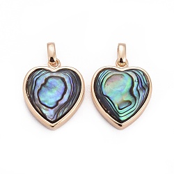Natural Abalone Shell/Paua ShellCharms, with Brass Findings, Heart, Golden, 13x11x4.5mm, Hole: 2x3mm(BSHE-F011-04B-G)