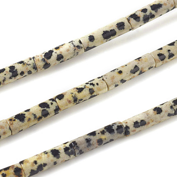 Natural Dalmatian Jasper Beads Strands, Column, 13~14x4mm, Hole: 1mm, about 30pcs/strand, 15.9 inch(40.5cm)