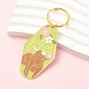 Alloy Enamel Keychains(KEYC-YW00224-12)-1