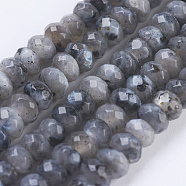 Natural Larvikite Beads Strands, Faceted, Rondelle, 4~4.5x2~2.5mm, Hole: 1mm, about 150pcs/strand, 15.1  inch~15.3 inch(38.5~39cm)(G-K255-19)