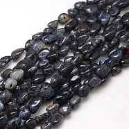 Nuggets Natural Crackle Agate Beads Strands, Dyed & Heated, Black, 8~16x8~12x6~10mm, Hole: 1mm, about 30~40pcs/strand, 15~16 inch(G-P031-08)