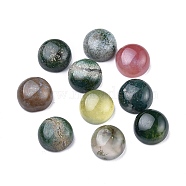 Natural Indian Agate Cabochons, Half Round, 8x3.5~4mm(G-P393-R67-8MM)