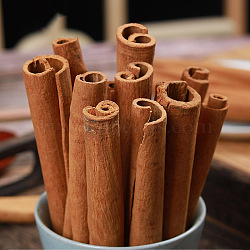 Cinnamon Stick, for Aromatherapy, Wreath Dried Flower Decoration, Dark Orange, 80~100mm, 250g/bag.(HULI-PW0002-040A-01)